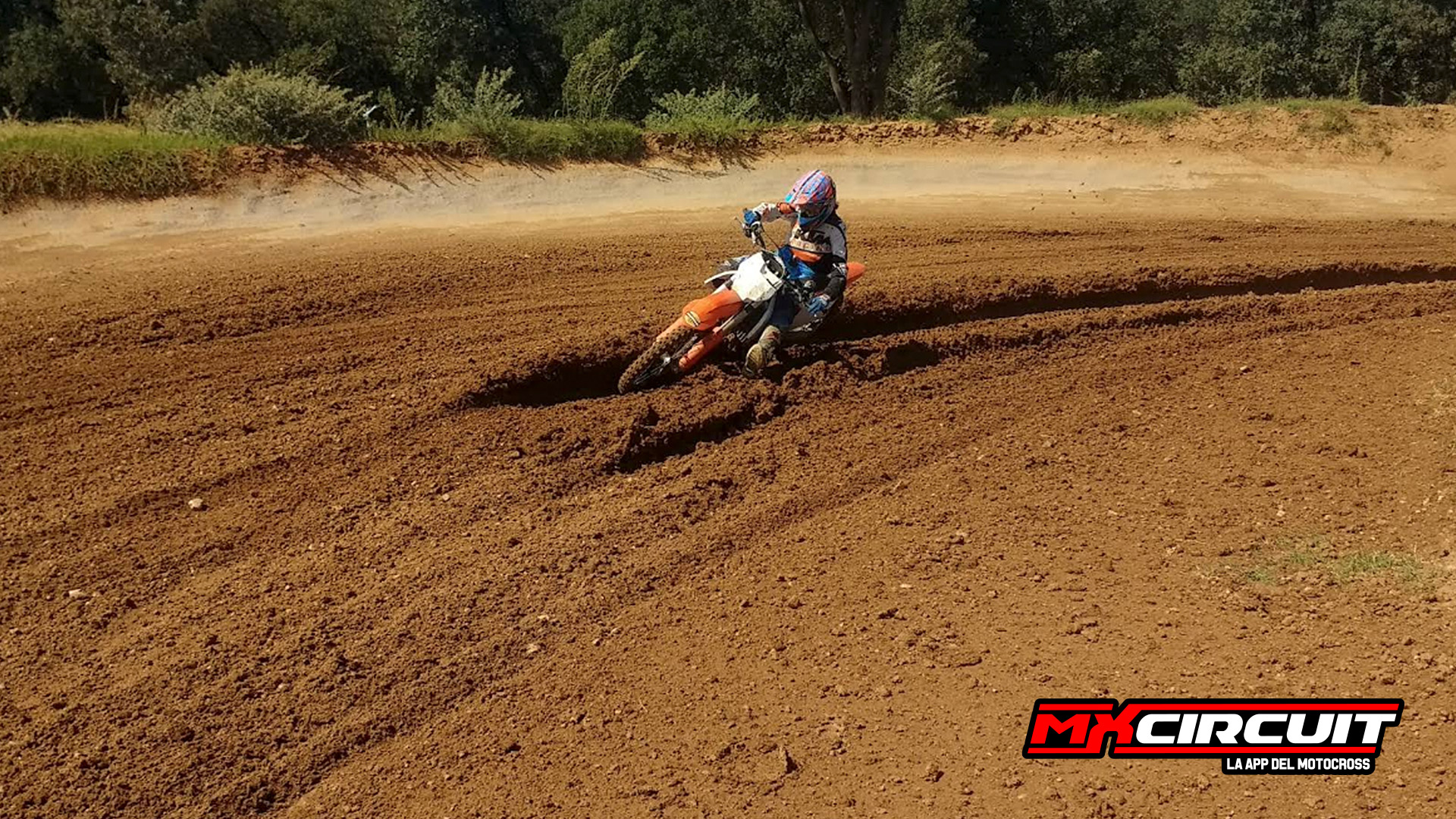 Imagen 2 de L´Ametlla Park