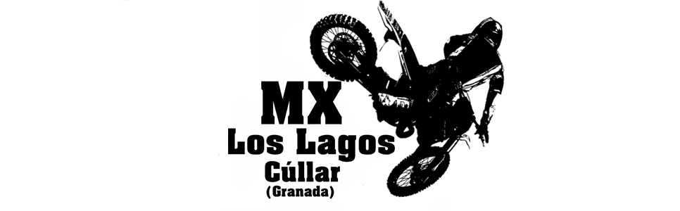 Logotipo de Mx los lagos