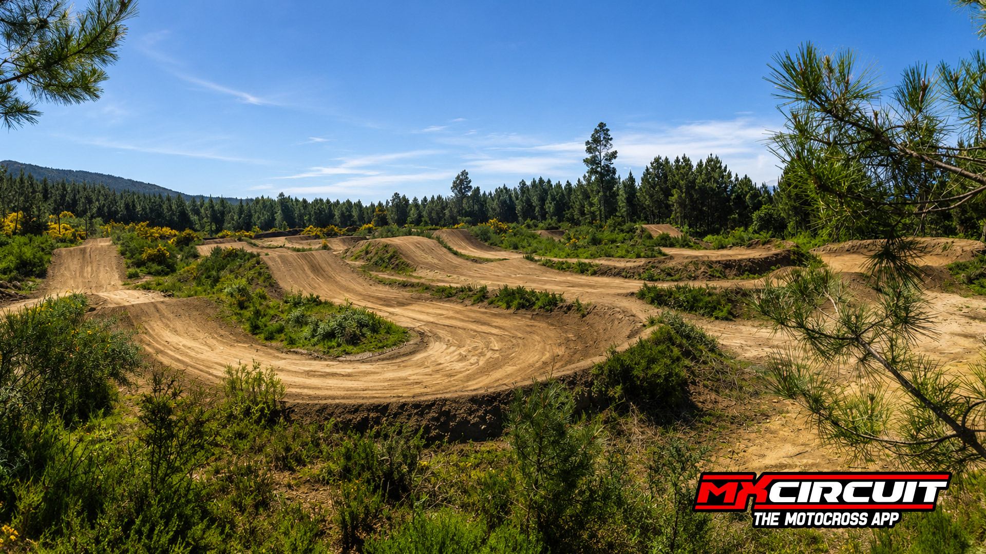 Imagen 2 de SX Abalo
